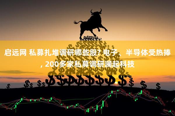 启远网 私募扎堆调研哪些股? 电子、半导体受热捧, 200多家私募调研澜起科技